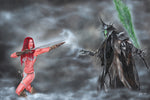 "Duel of Fates"  11X17 Print by Kipsworld Art